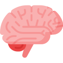 Advantage Icon