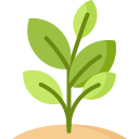 Advantage Icon