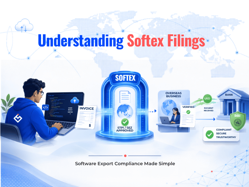 Understanding Softex Filings